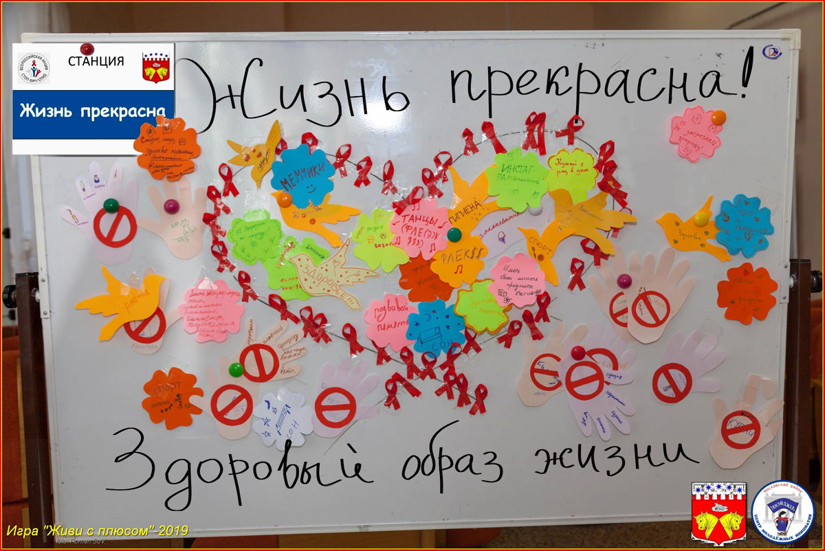 Организация и проведение игровой программы 